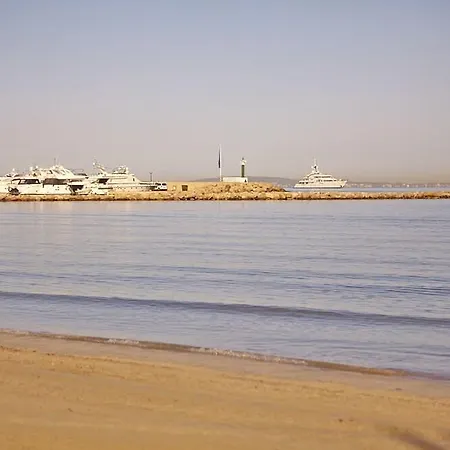 Sahara Nubia Gobi Ses Cadenes